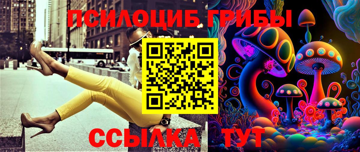 Галлюциногенные грибы прущие грибы  Вход с VPN  Миллерово 